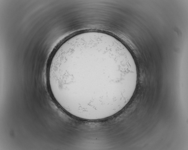 X0000114220888200911061504