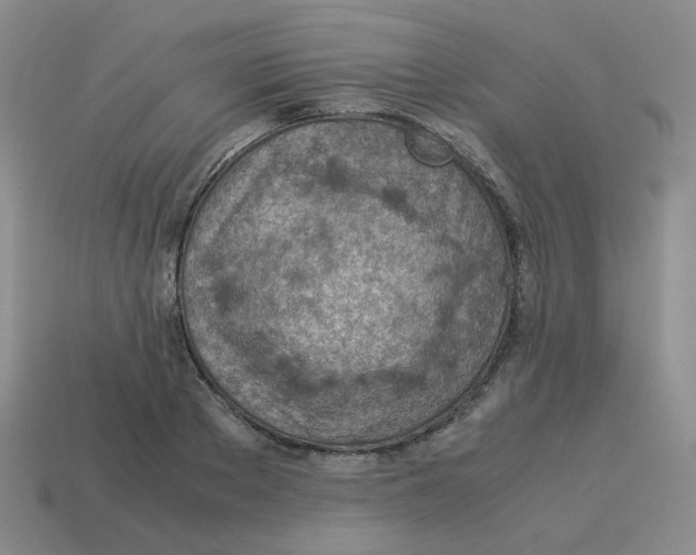 X0000114220889200911061504