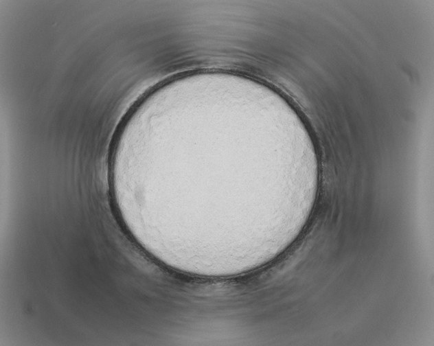 X0000114220891200911061504