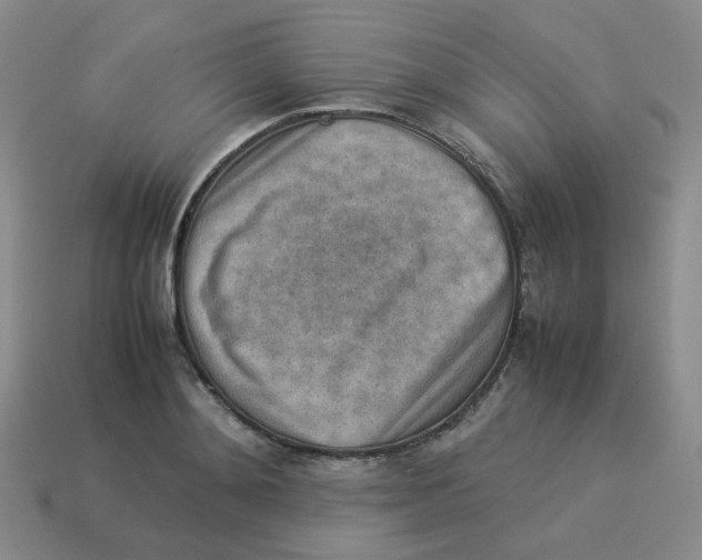 X0000114220892200911061504