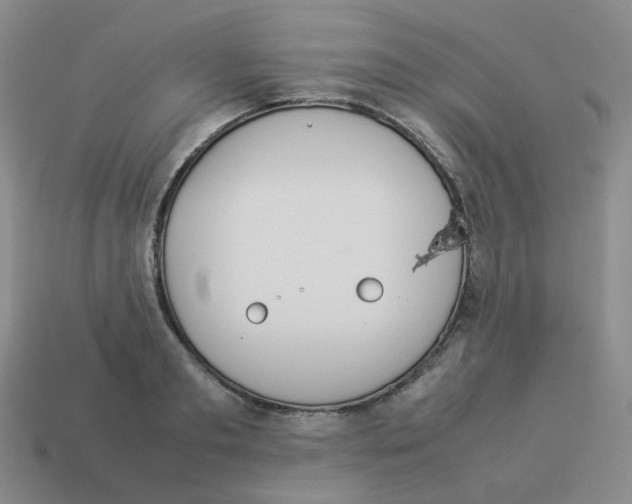 X0000114220893200911061504