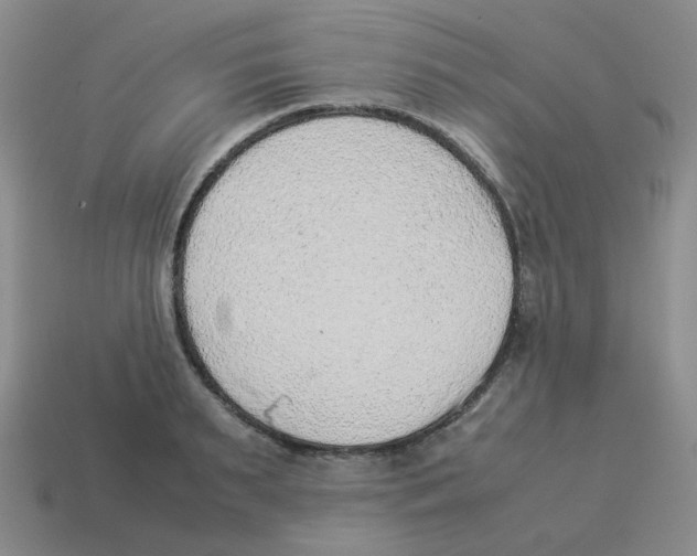 X0000114220895200911061504