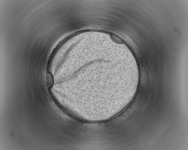 X0000114220896200911061504