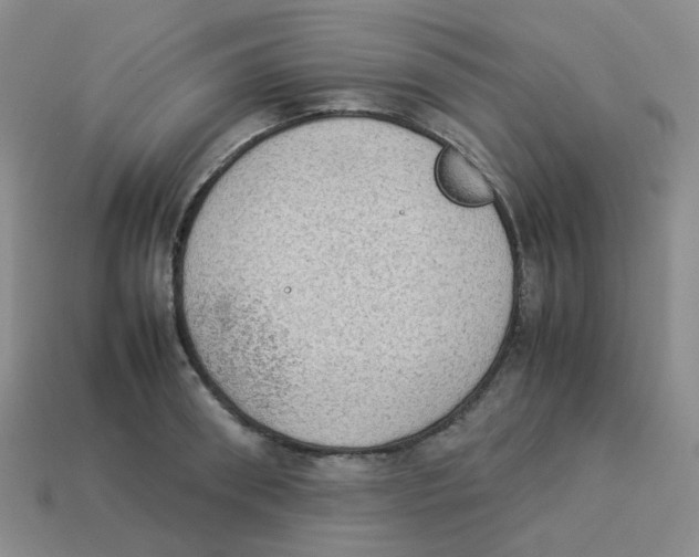 X0000114220898200911061504