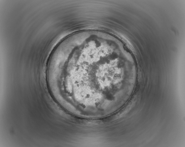 X0000114220899200911061504