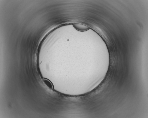 X0000114220900200911061504