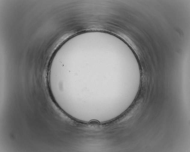 X0000114220901200911061504