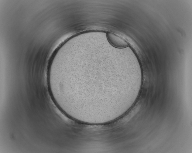 X0000114220902200911061504