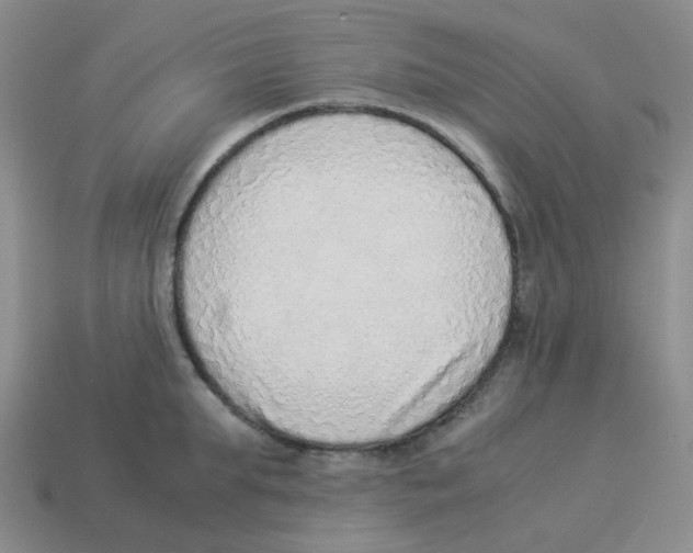 X0000114220903200911061504