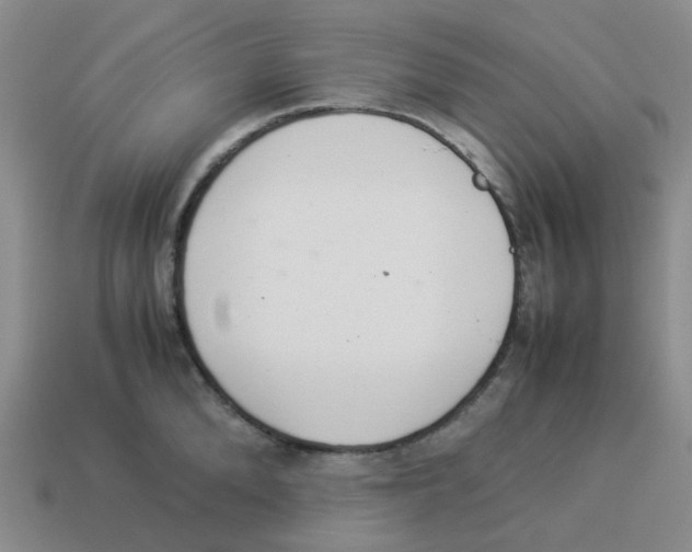 X0000114220904200911061504