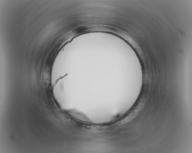 X0000114220905200911061504