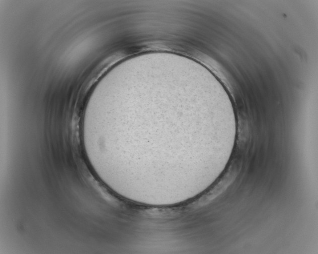 X0000114220906200911061504