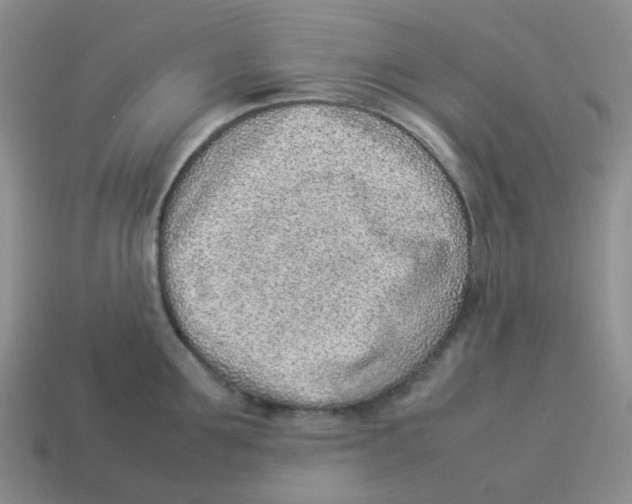 X0000114220907200911061504