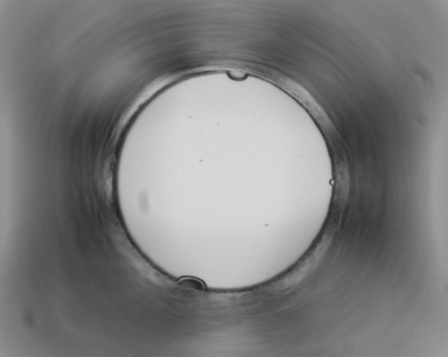 X0000114220908200911061504