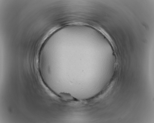 X0000114220909200911061504