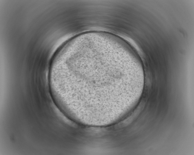 X0000114220910200911061504