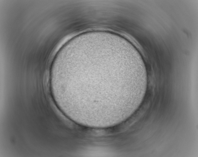 X0000114220911200911061504