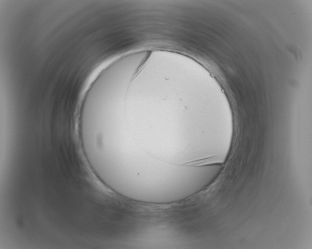 X0000114220912200911061504