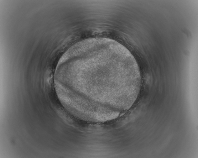 X0000114220914200911061503