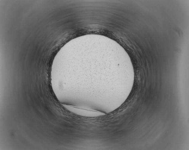 X0000114220916200911061503