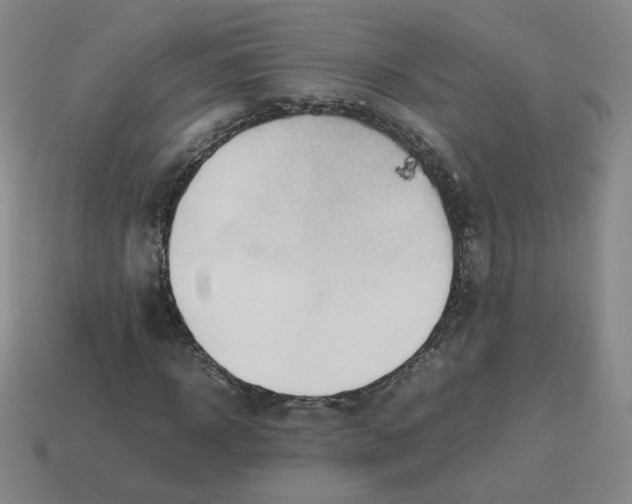 X0000114220918200911061503