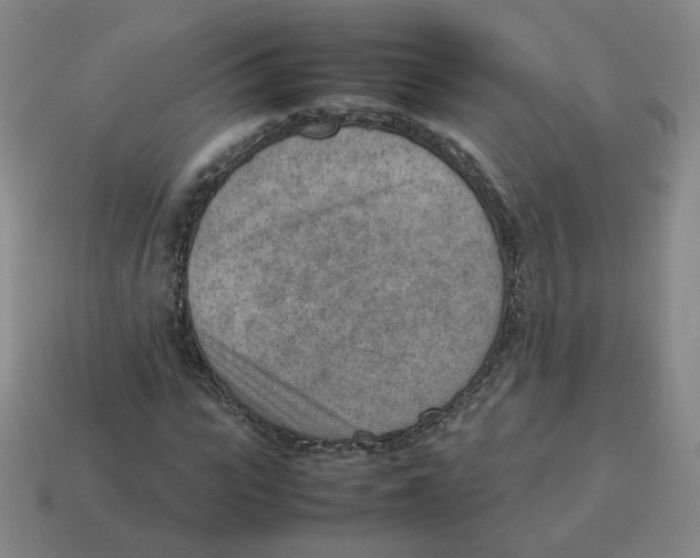 X0000114220919200911061503