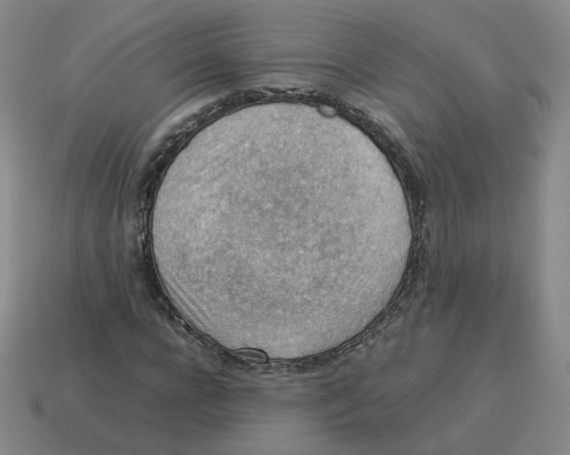 X0000114220920200911061503