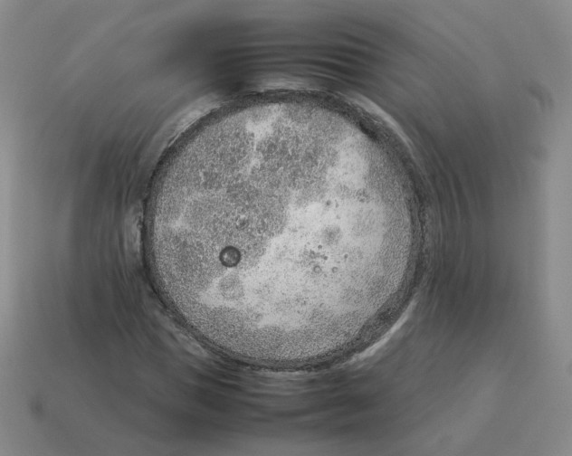 X0000114220921200911061503