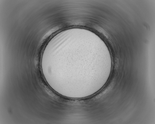 X0000114220922200911061503