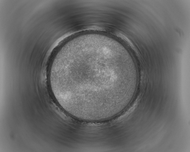 X0000114220923200911061503