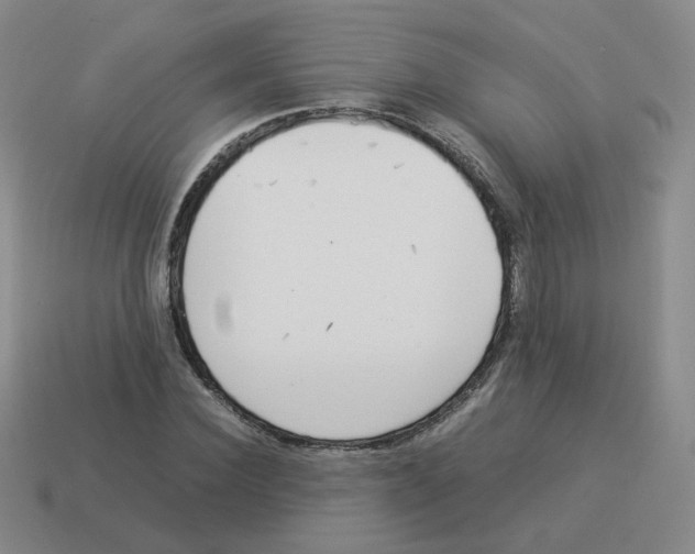 X0000114220924200911061503