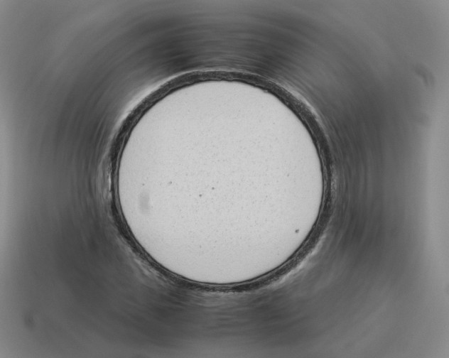 X0000114220925200911061503