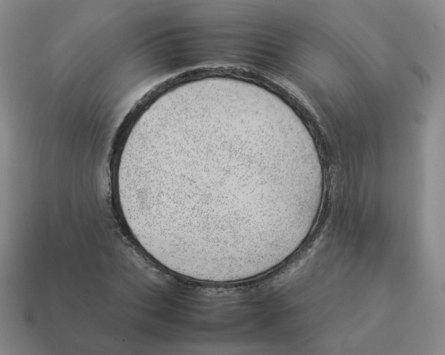 X0000114220927200911061503