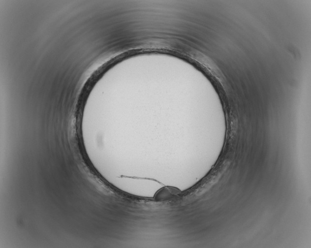 X0000114220928200911061503