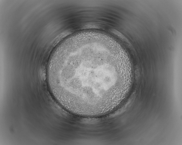 X0000114220929200911061503