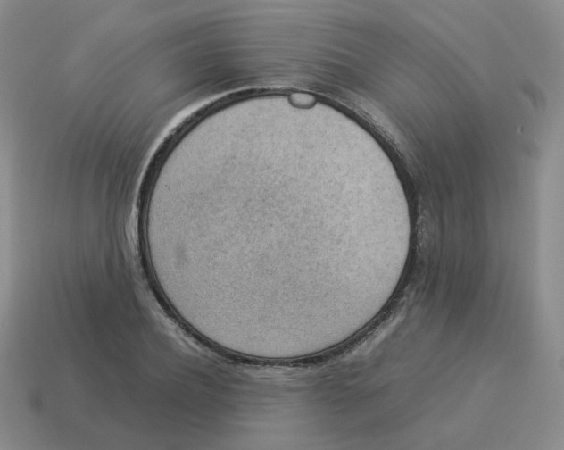 X0000114220932200911061504