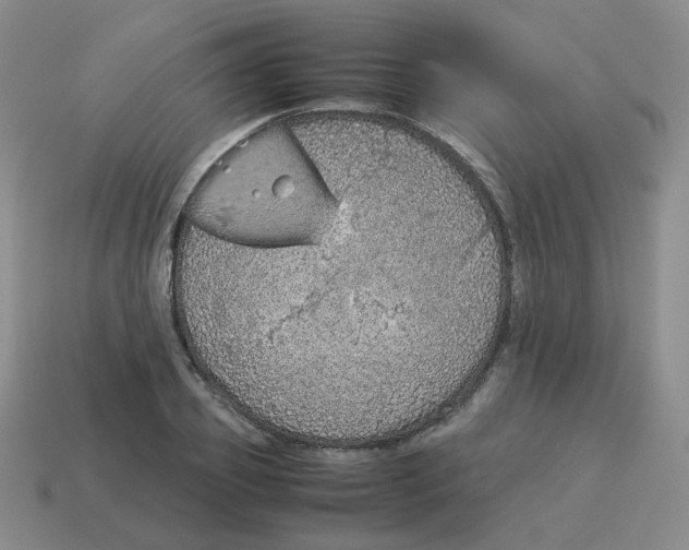 X0000114220933200911061504