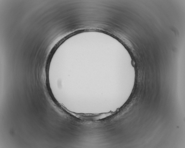 X0000114220936200911061504