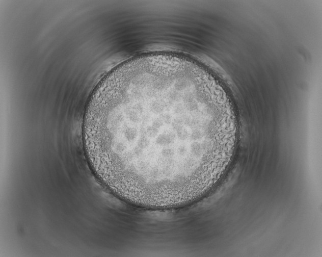 X0000114220937200911061504