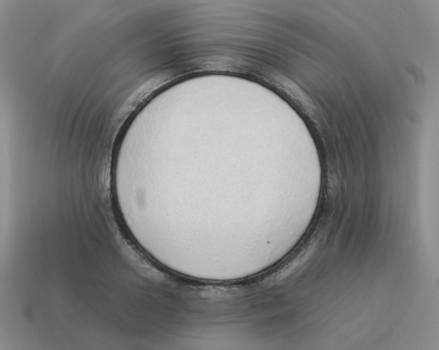 X0000114220938200911061504