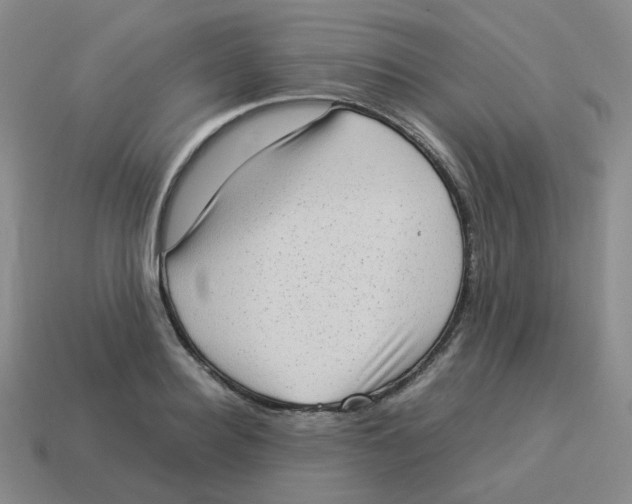 X0000114220940200911061504