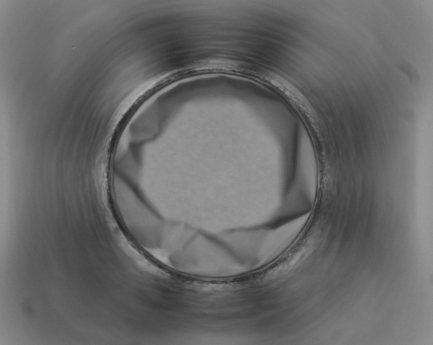 X0000114220941200911061504