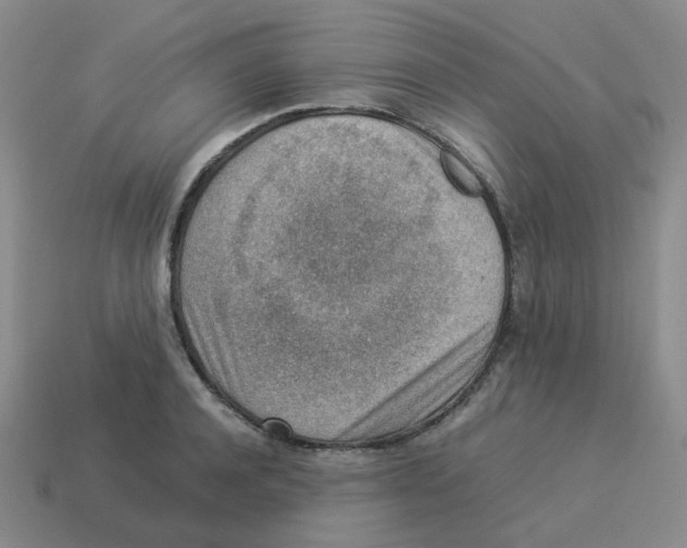 X0000114220944200911061504