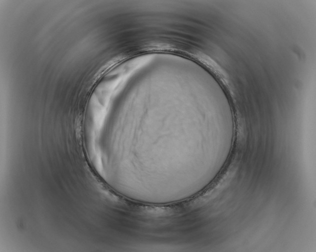 X0000114220945200911061504