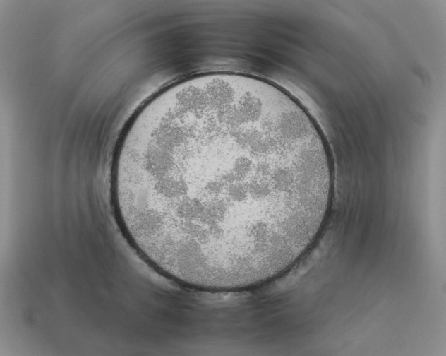 X0000114220949200911061504