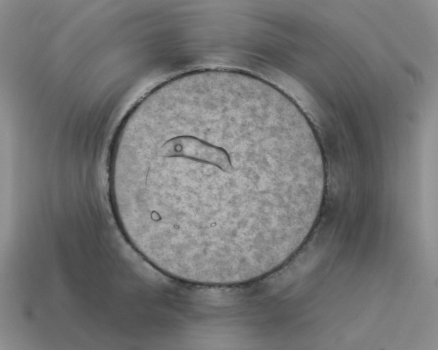 X0000114220950200911061504