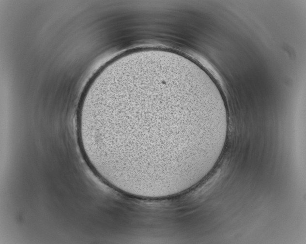 X0000114220951200911061504