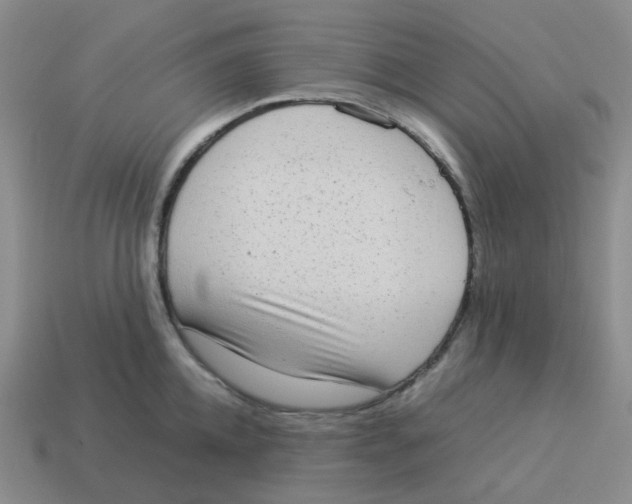 X0000114220952200911061504