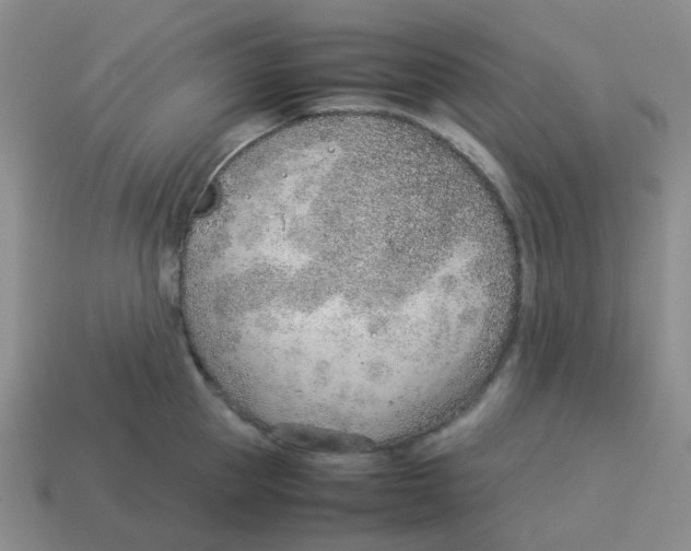 X0000114220953200911061504