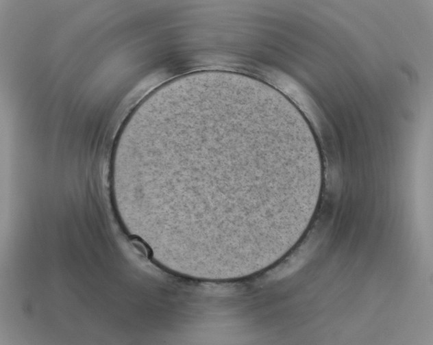 X0000114220954200911061504